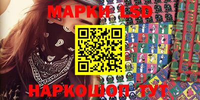шишки Будённовск