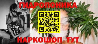 шишки Будённовск