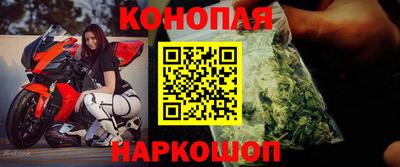 шишки Будённовск